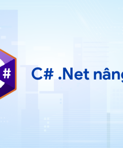 C# .Net Nâng Cao