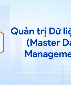 Quản trị Dữ liệu Gốc (Master Data Management)