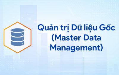 Quản trị Dữ liệu Gốc (Master Data Management)