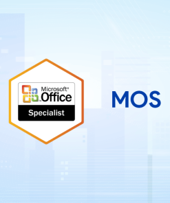 Luyện thi Chứng chỉ Quốc tế MOS Excel Associate (365/2019)