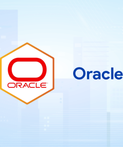 Oracle Database 19c: ASM Administration Workshop
