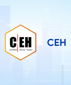 Certified Ethical Hacker - CEH v13